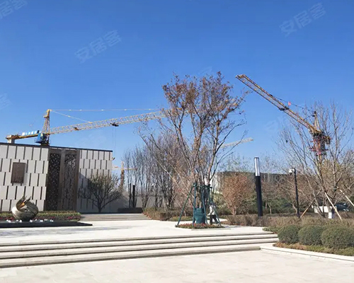 �L(zh��ng)�����Ƹ�